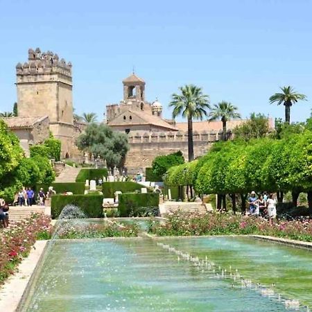 Apartamento Con Jardin Y Piscina En Córdoba Exteriér fotografie