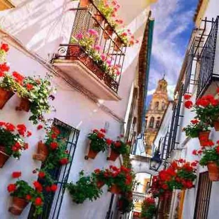 Apartamento Con Jardin Y Piscina En Córdoba Exteriér fotografie