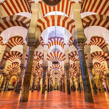 Apartamento Con Jardin Y Piscina En Córdoba Exteriér fotografie
