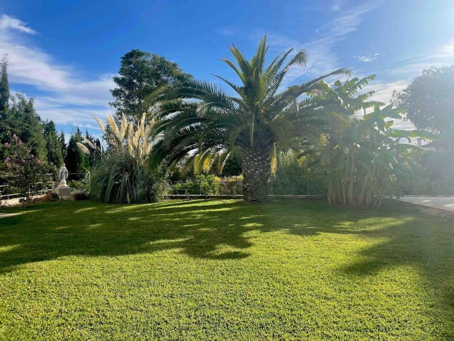 Apartamento Con Jardin Y Piscina En Córdoba Exteriér fotografie