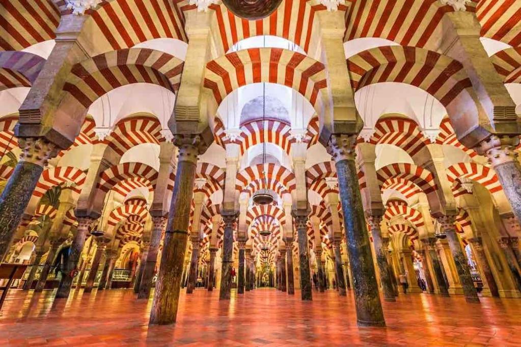 Apartamento Con Jardin Y Piscina En Córdoba Exteriér fotografie